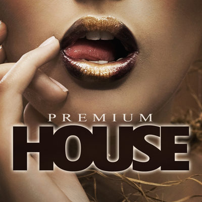 Premium House (2015)