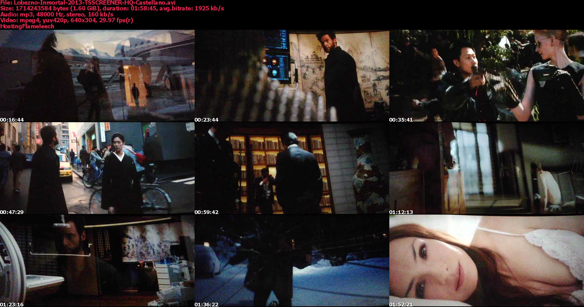 N17c.jpg