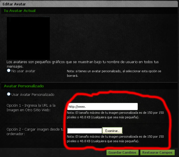 NS24.png