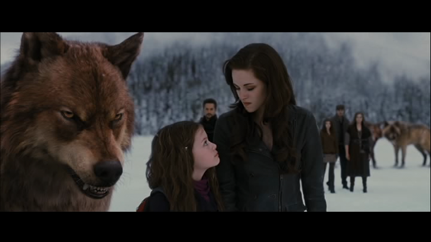 TWILIGHT SAGA: BREAKING DAWN - PART 2 2012 R1 - Movie