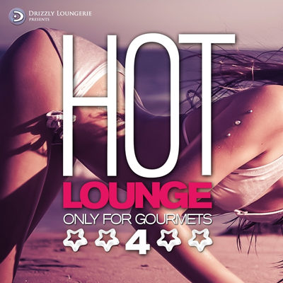Hot Lounge Only for Gourmets Vol 4 (2015)