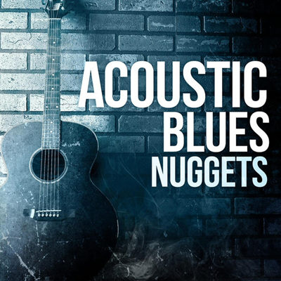 Acoustic Blues Nuggets (2014)